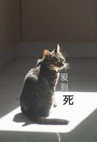 爱到死