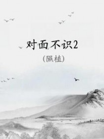 对面不识2